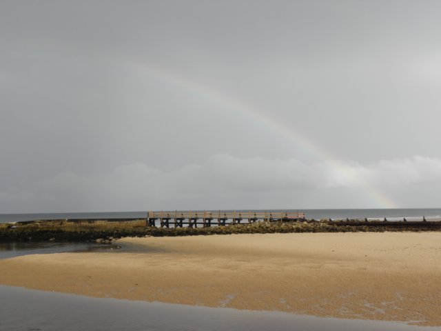 englandscotlandwales2010196.jpg