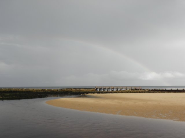 englandscotlandwales2010198.jpg