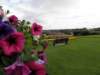 englandscotlandwales2010202_small.jpg