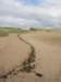 englandscotlandwales2010210_small.jpg