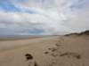 englandscotlandwales2010213_small.jpg