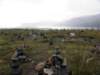 englandscotlandwales2010283_small.jpg