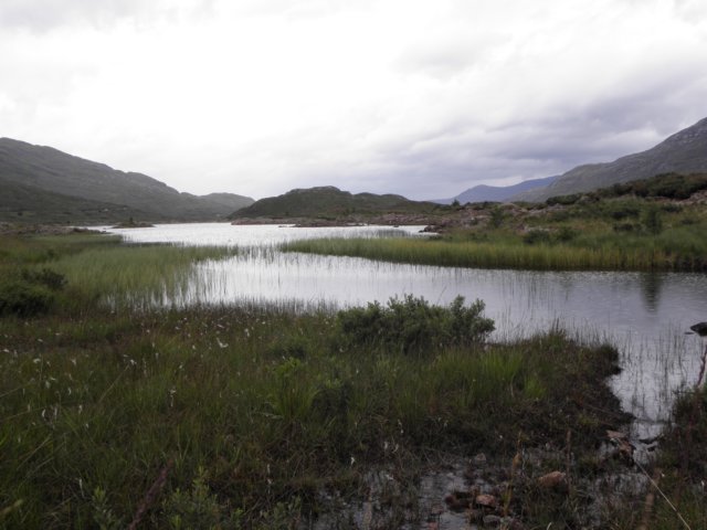 englandscotlandwales2010304.jpg
