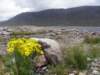 englandscotlandwales2010305_small.jpg