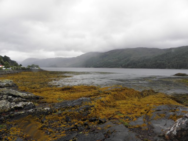 englandscotlandwales2010319.jpg