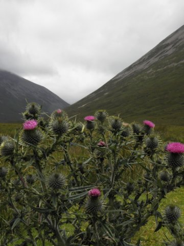englandscotlandwales2010327.jpg