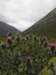 englandscotlandwales2010327_small.jpg