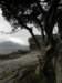 englandscotlandwales2010333_small.jpg