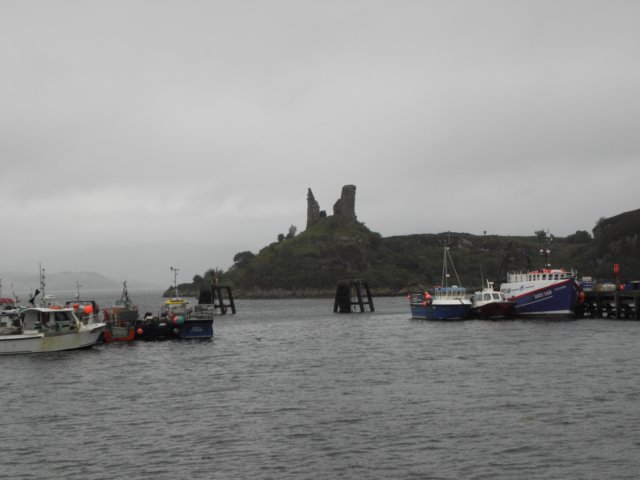 englandscotlandwales2010337.jpg