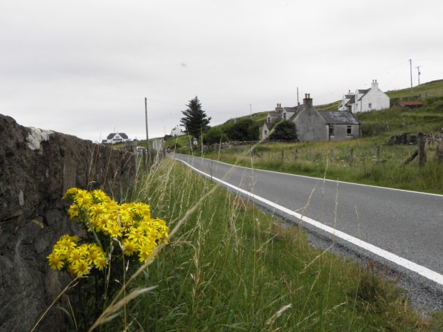 englandscotlandwales2010358.jpg