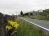 englandscotlandwales2010358_small.jpg