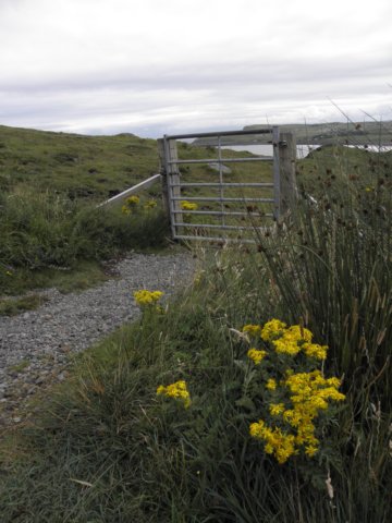 englandscotlandwales2010365.jpg