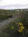 englandscotlandwales2010365_small.jpg
