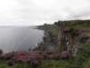 englandscotlandwales2010375_small.jpg