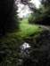englandscotlandwales2010382_small.jpg