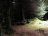 englandscotlandwales2010393_small.jpg