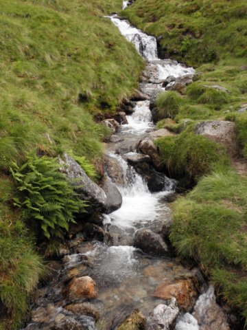 englandscotlandwales2010410.jpg