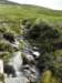 englandscotlandwales2010414_small.jpg