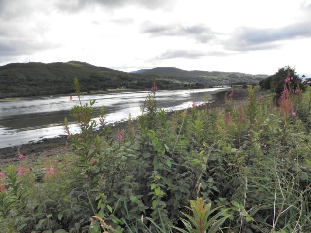 englandscotlandwales2010450.jpg