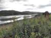 englandscotlandwales2010450_small.jpg