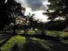 englandscotlandwales2010464_small.jpg