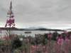 englandscotlandwales2010515_small.jpg