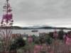 englandscotlandwales2010516_small.jpg