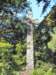 englandscotlandwales2010537_small.jpg