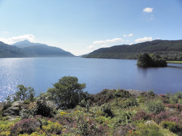 englandscotlandwales2010551.jpg