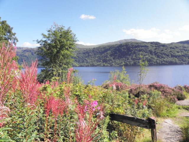englandscotlandwales2010552.jpg