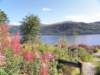 englandscotlandwales2010552_small.jpg