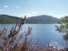 englandscotlandwales2010553_small.jpg