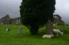 englandscotlandwales2010canon20_small.jpg