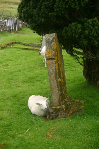 englandscotlandwales2010canon21.jpg