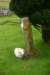 englandscotlandwales2010canon21_small.jpg
