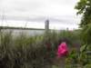 englandscotlandwales201020_small.jpg