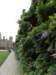 englandscotlandwales201038_small.jpg