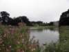 englandscotlandwales201043_small.jpg