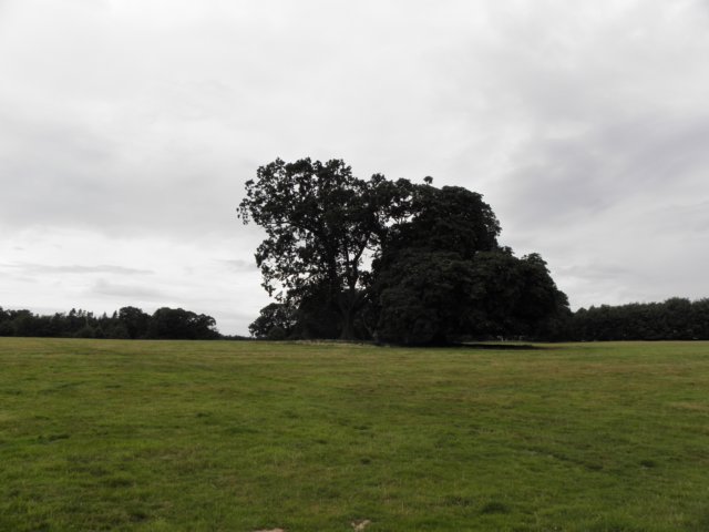 englandscotlandwales201047.jpg