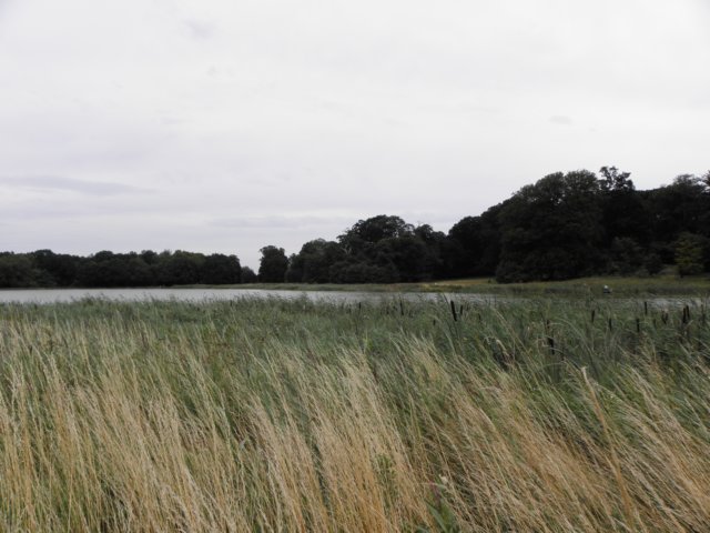 englandscotlandwales201049.jpg