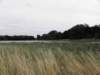 englandscotlandwales201049_small.jpg