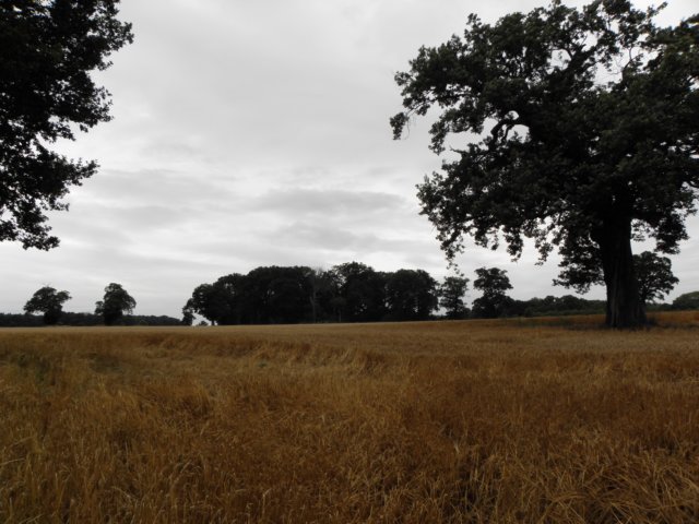 englandscotlandwales201050.jpg