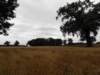 englandscotlandwales201050_small.jpg
