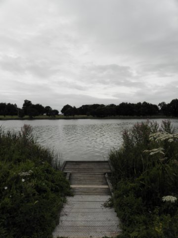 englandscotlandwales201051.jpg