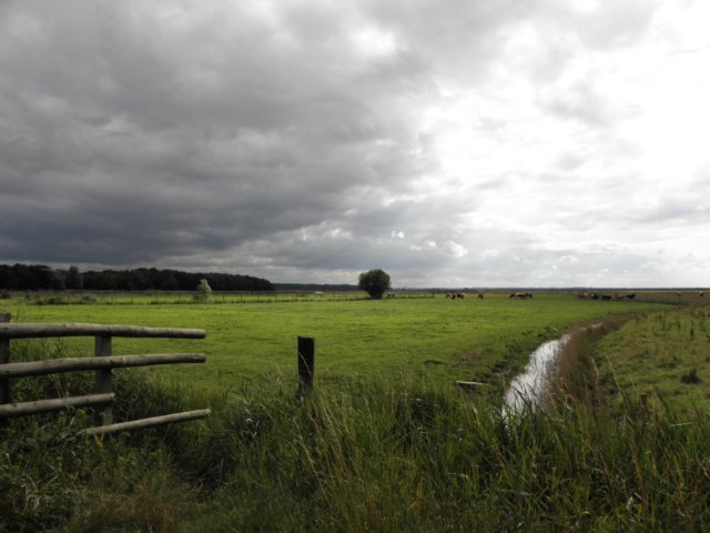englandscotlandwales20106.jpg