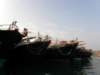 cheungchauisland20012008106_small.jpg
