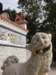 cheungchauisland2001200828_small.jpg