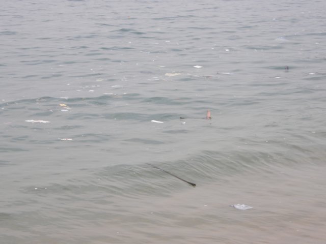 cheungchauisland2001200837.jpg