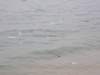 cheungchauisland2001200837_small.jpg