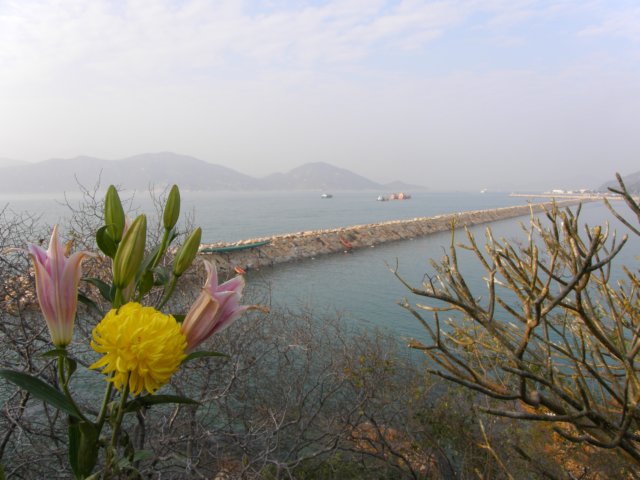 cheungchauisland2001200877.jpg